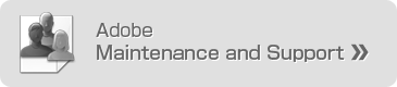 adobe maintenance and support