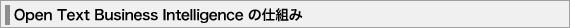 Open Text Business Inteligence �̎d�g��