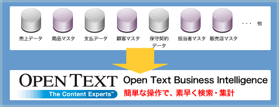 Open Text Business Inteligence を使って、簡単な操作で、素早く検索・集計。様々なデータベースと簡単接続。データモデルファイルを介した柔軟な検索・集計