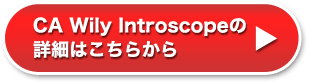 CA Wily Introscope�̏ڍׂ͂�����