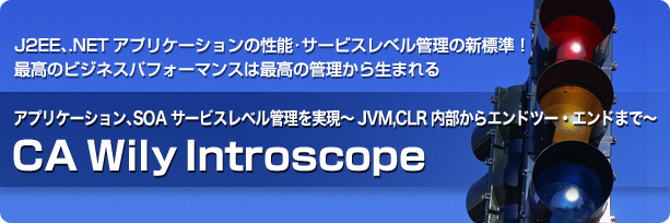 CA Wily Introscope