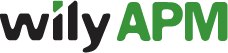 Wily APM