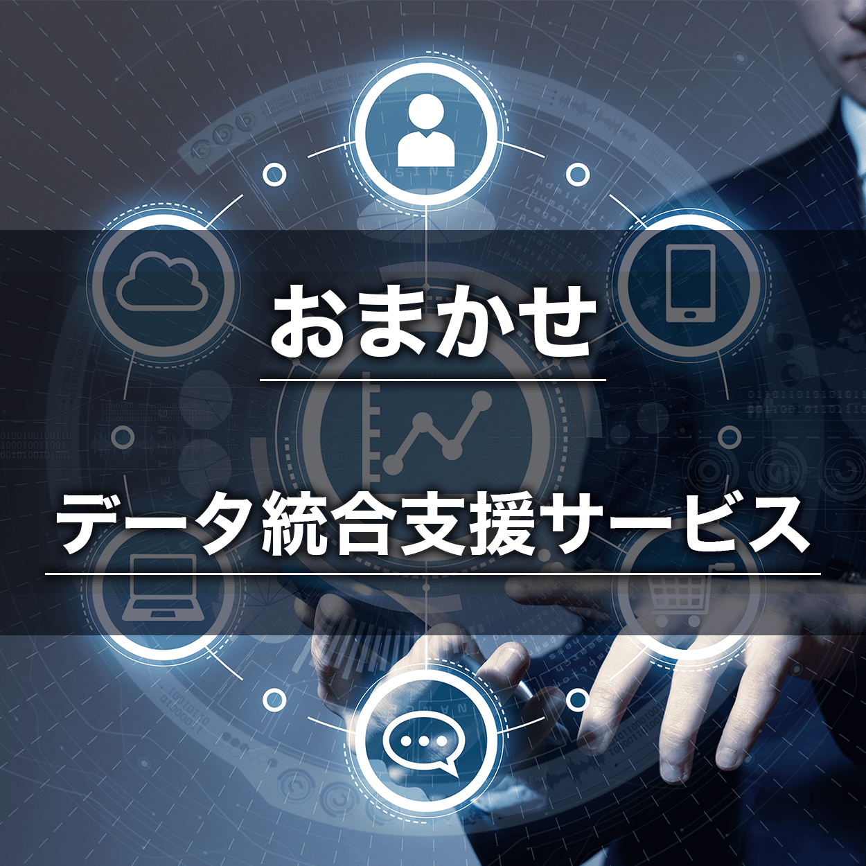 データ統合支援サービス