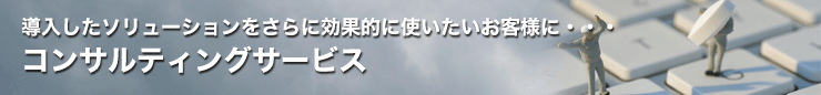 コンサルティングサービス