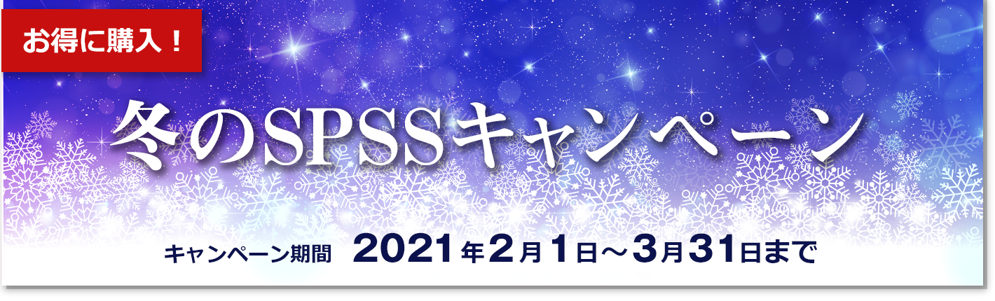 冬のキャンペーン 統計解析のスタンダード Ibm Spss サムライズ